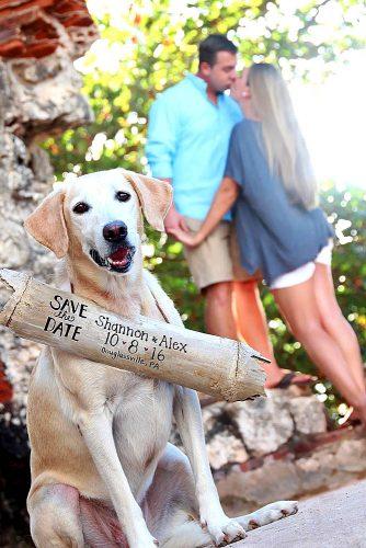 save the date ideas with dog 1