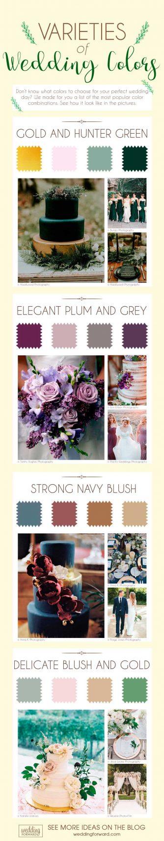 varieties of wedding colors wedding theme infographics