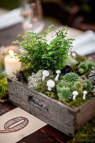 non floral wedding centerpieces in a wooden box moss green and white mushrooms matties studio