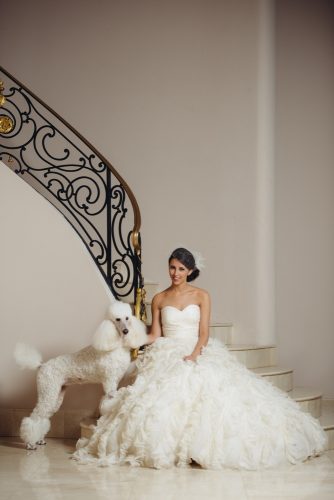 wedding pets bride with dog in house jonathanivy photo