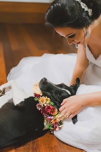 wedding pets bride with their dog kira morcega