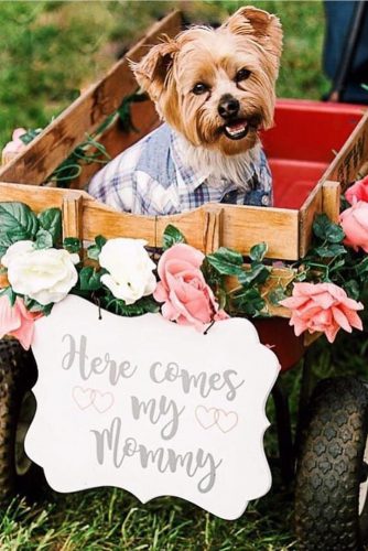 wedding pets dog plaques julietcharms