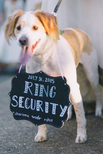 wedding pets dog ring security black and hue photography