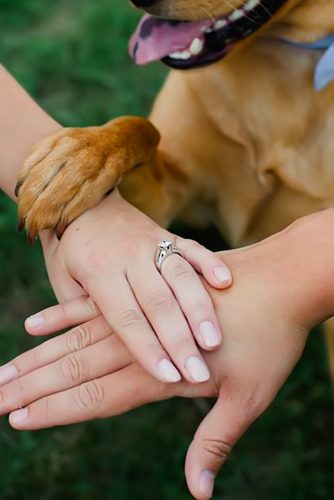 wedding pets hands with rings studi osnap