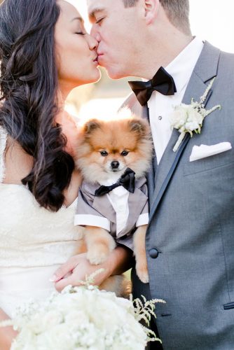 wedding pets wedding couple with dog caseyed wards photography