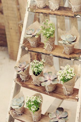 rustic backyard wedding decoration wooden ladder with succulents in burlap rebecca douglas photography