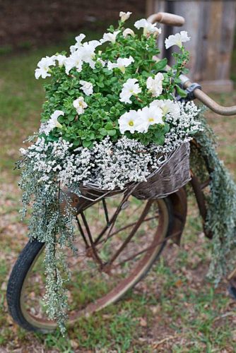 western wedding decoration in a basket of an old bicycle white flowers eureka photography
