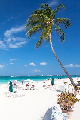 cayman island honeymoons beach сaribbean сlub