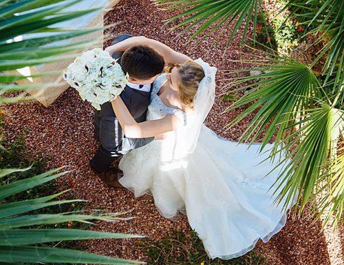 eloping plants exotic wedding