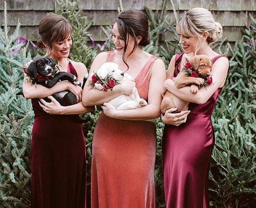 how to choose bridesmaids bridesmaids with cute puppies