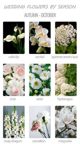 wedding flowers by season 8