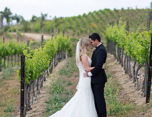 how to plan an outdoor wedding winery ceremony