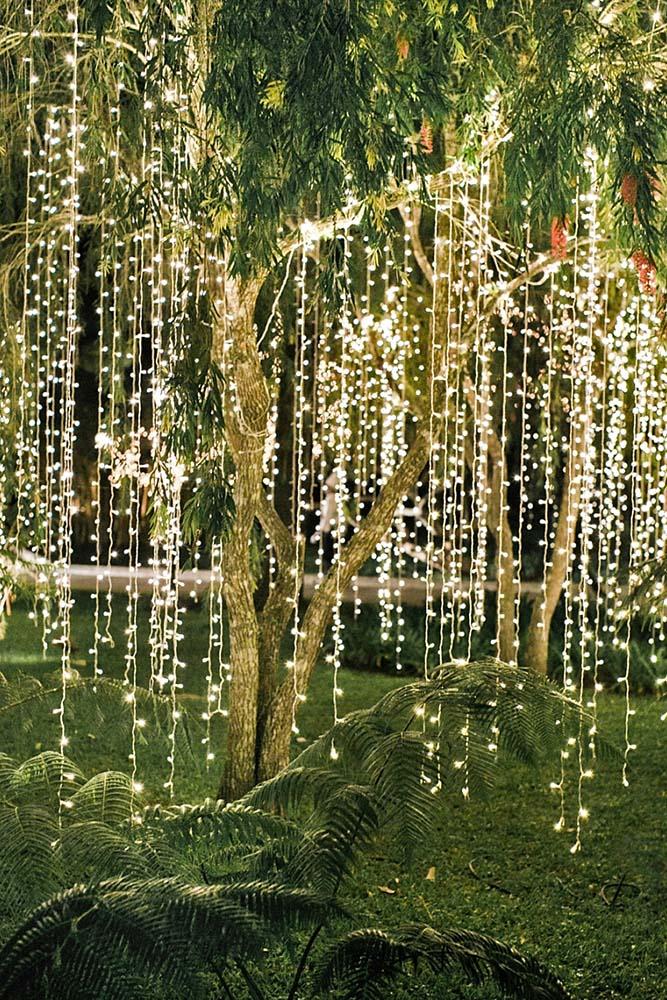 wedding light a tree densely decorated with luminous bulbs vicki grafton photography