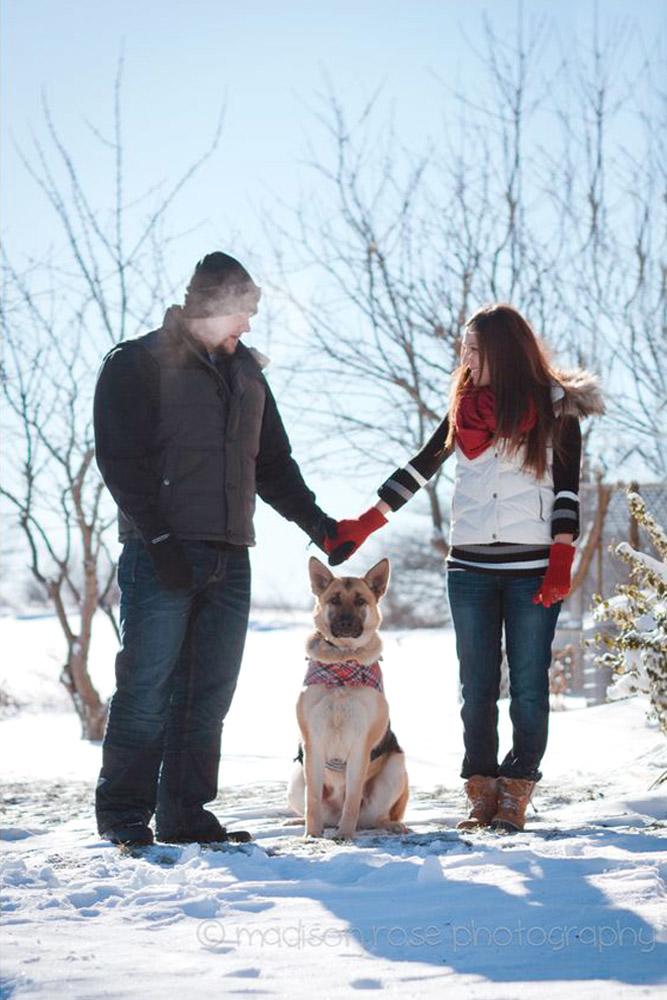 winter engagement shoot with your dog 4