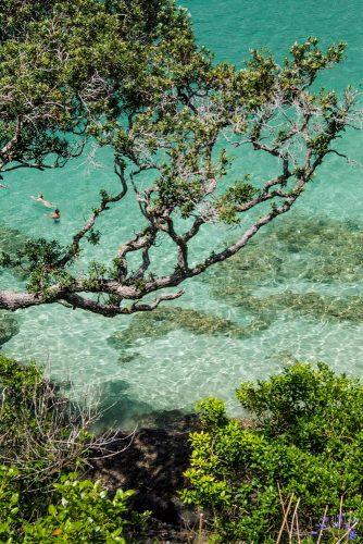 top honeymoon destinations bay of islands in new zealand