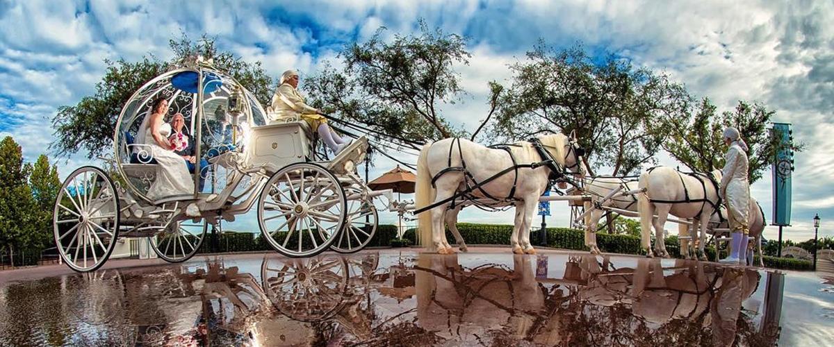 Charming Ideas For Disney Wedding