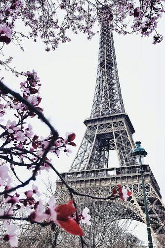 best honeymoon spots eiffel tower paris