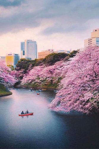 best honeymoon spots tokyo japan sakura