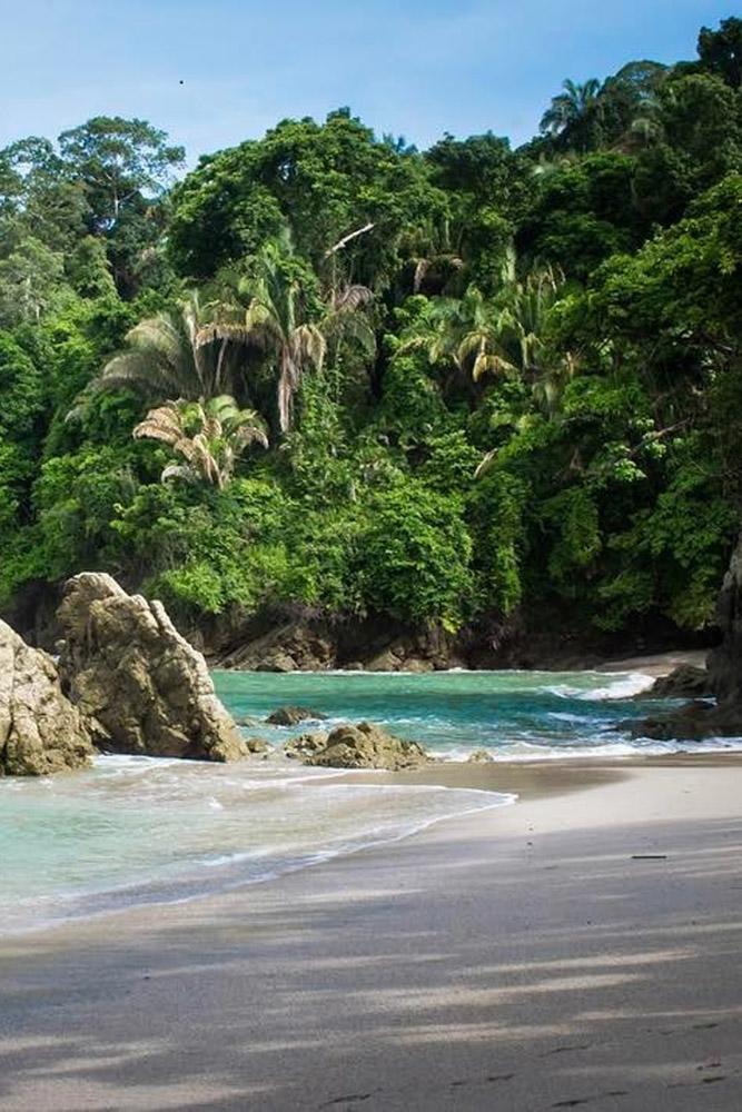 tropical honeymoon destinations forest near a sea sara pat world travellers via instagram