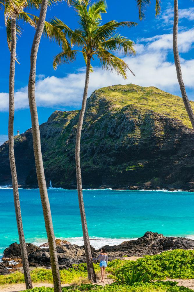 tropical honeymoon destinations havaii palms near the sea luke shadbolt and nicole warne