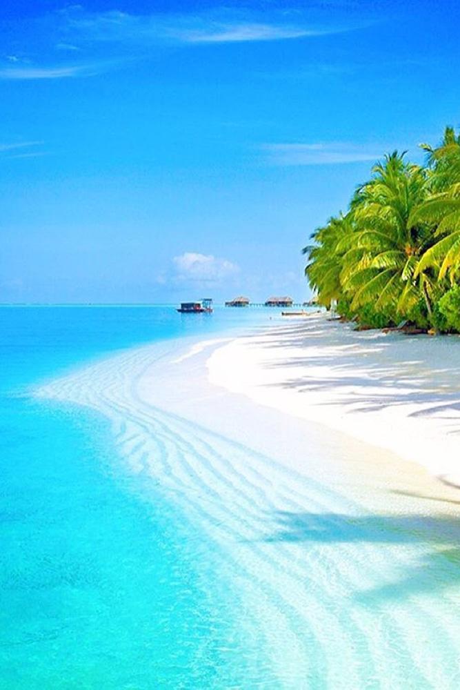 tropical honeymoon destinations maldives a perfect beach michutravel via instagram
