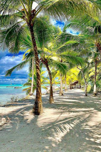 affordable honeymoon packages punta cana tropic beach palms
