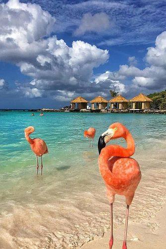best honeymoon destinations aruba