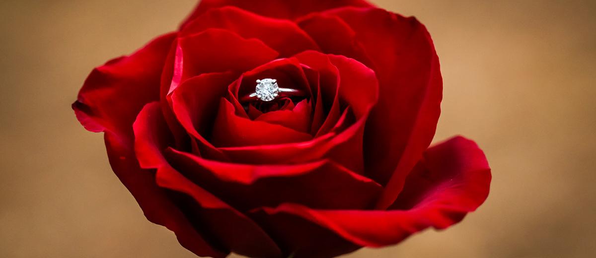 30 Beautiful Single-Stem Wedding Bouquets