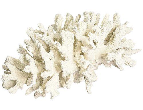 anniversary gifts by year coral branch