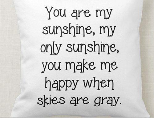 wedding gift ideas funny pillow