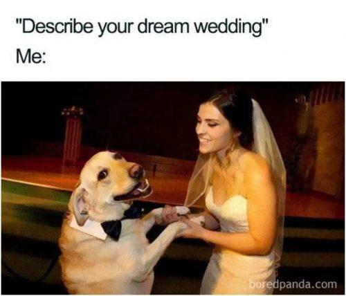 wedding memes describe your dream wedding
