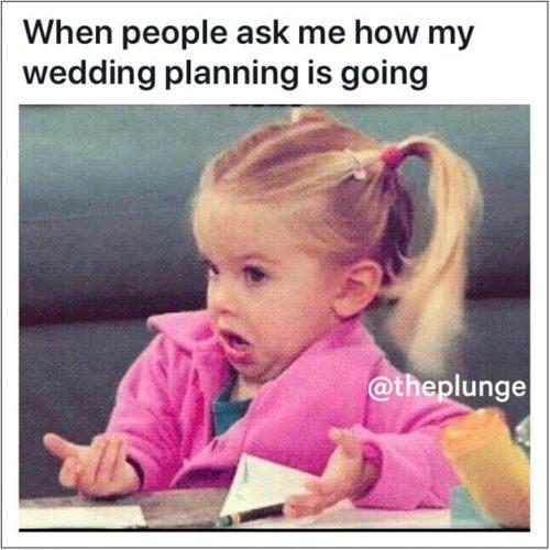 wedding memes when people ask me how is wedding planning going