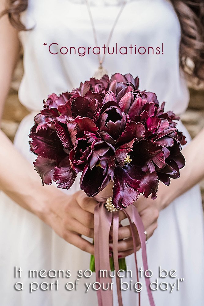 wedding wishes congratulations bride with wedding flowers