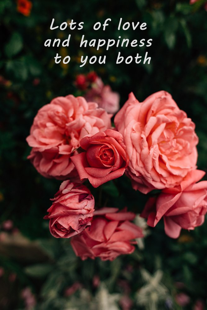 Marriage Wish To Sister Wedding Congratulations: What To Write In A Wedding Card 2022