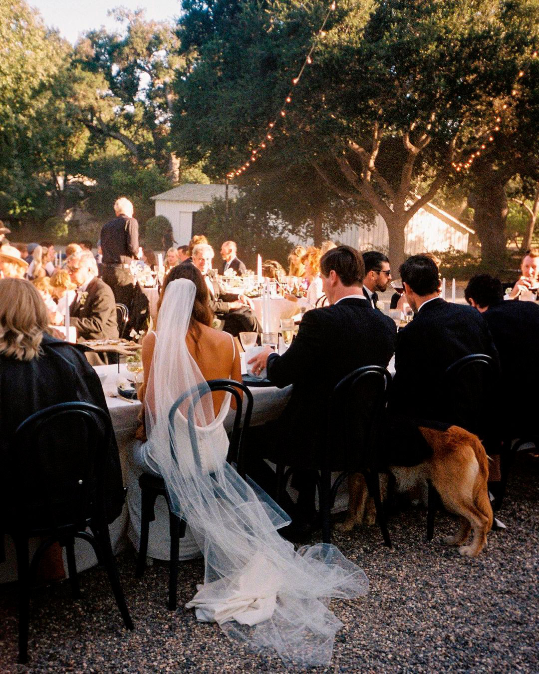 irish wedding toast guests table decor