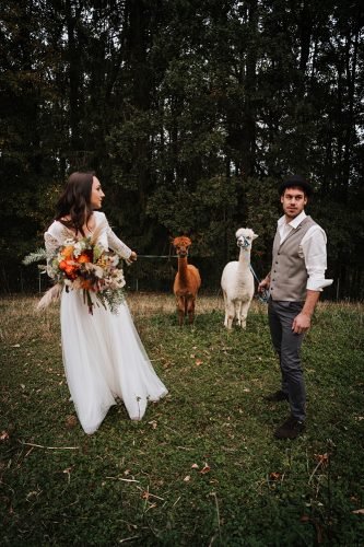 forest wedding styled shoots groom bride with cute lamas fotografie danielaebner