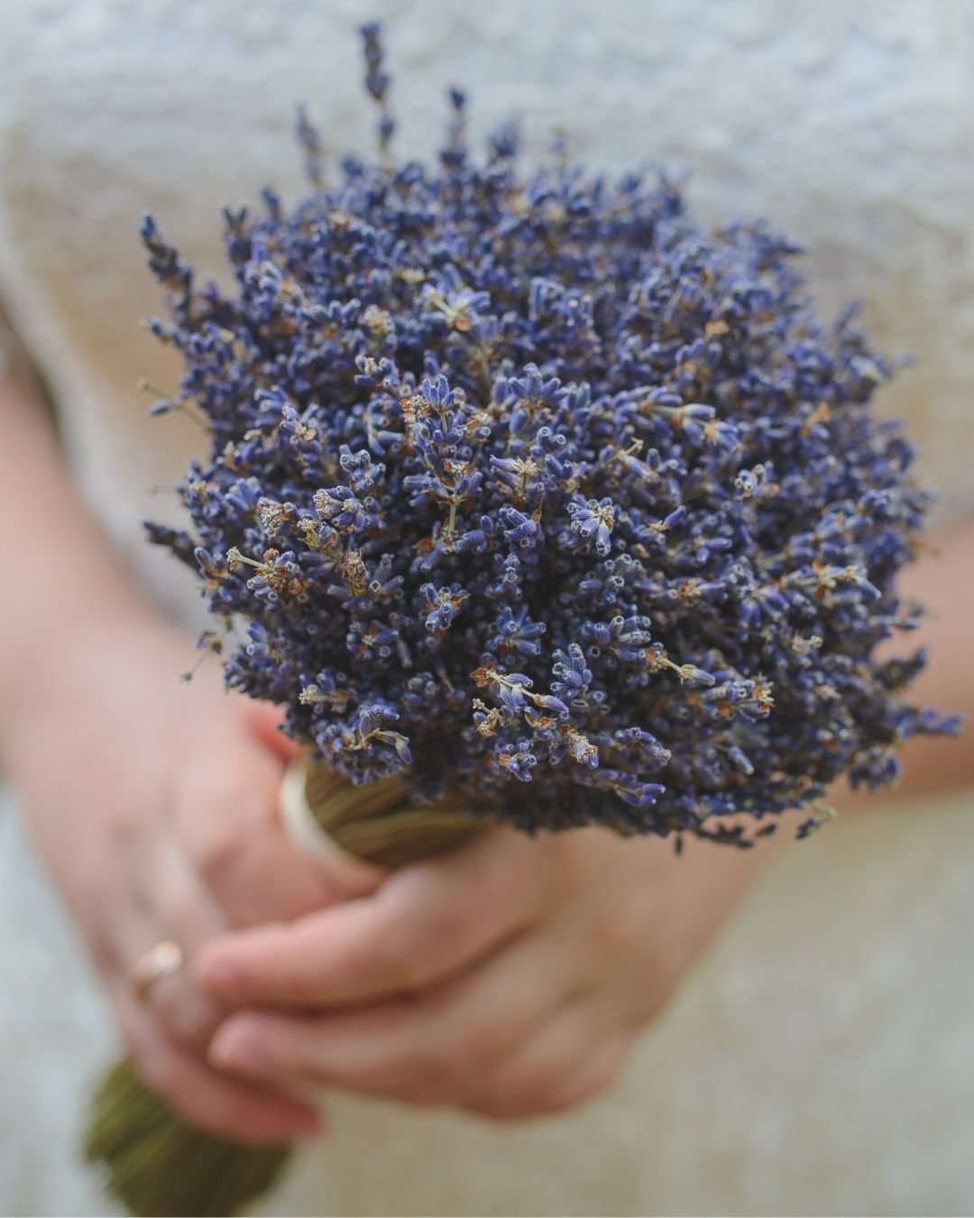 how to preserve wedding bouquet lavender bouquets