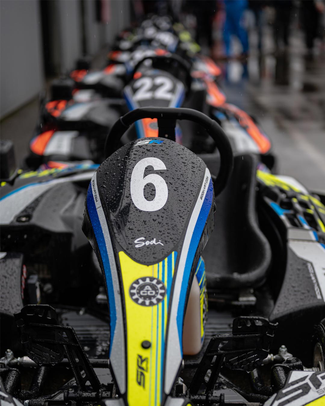 bachelorette-party-ideas-carting