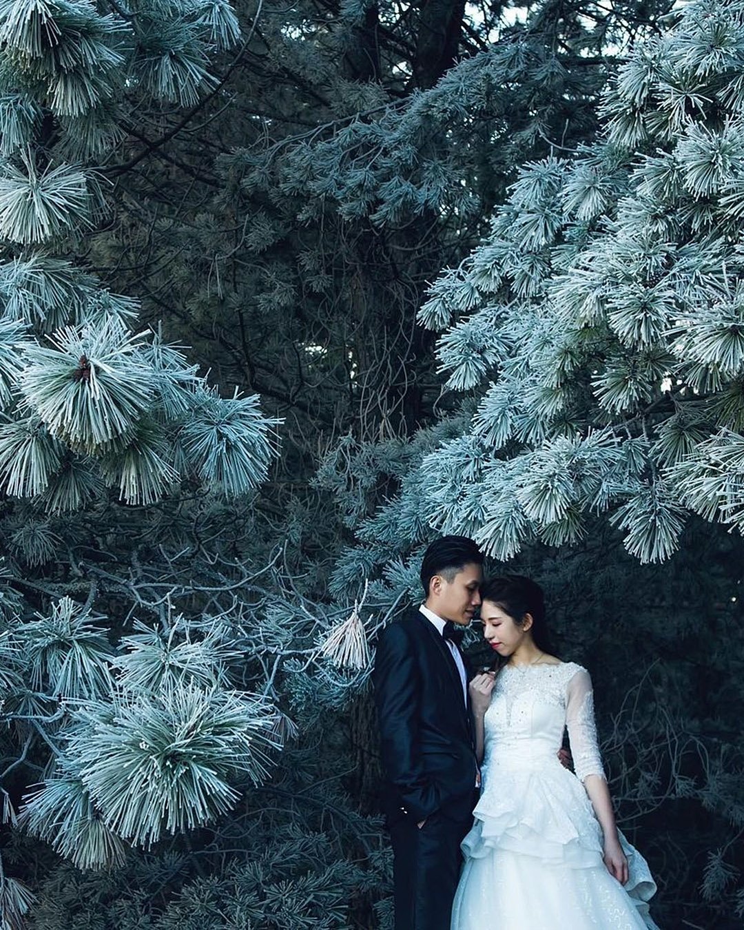winter wedding photo ideas photo couple in the forest