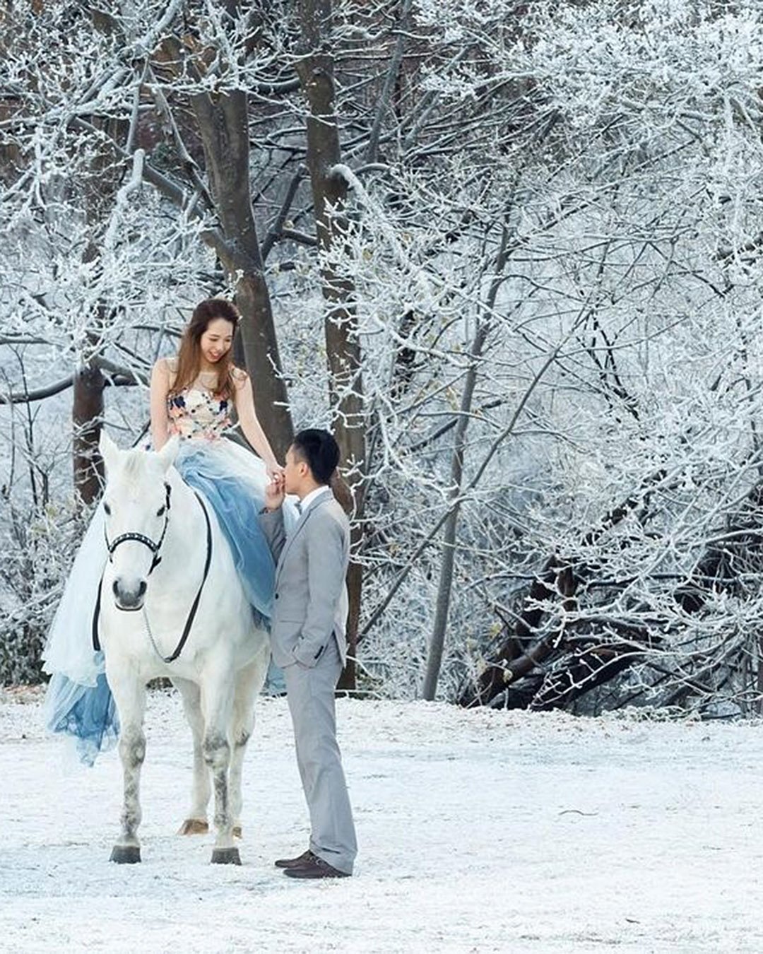 winter wedding photos couple forest horse