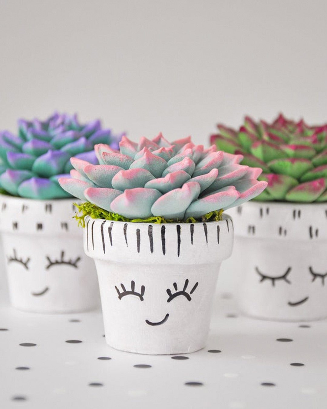 bridal shower favors small planter succulent