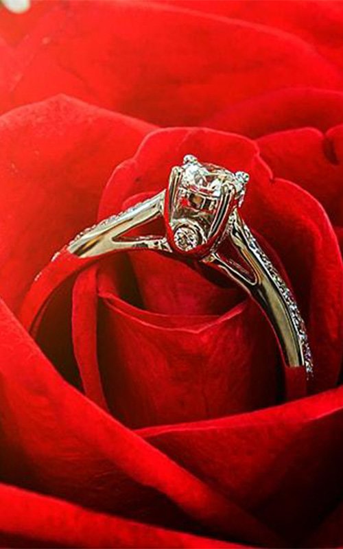 rose gold engagement rings solitaire diamond ring on the rose