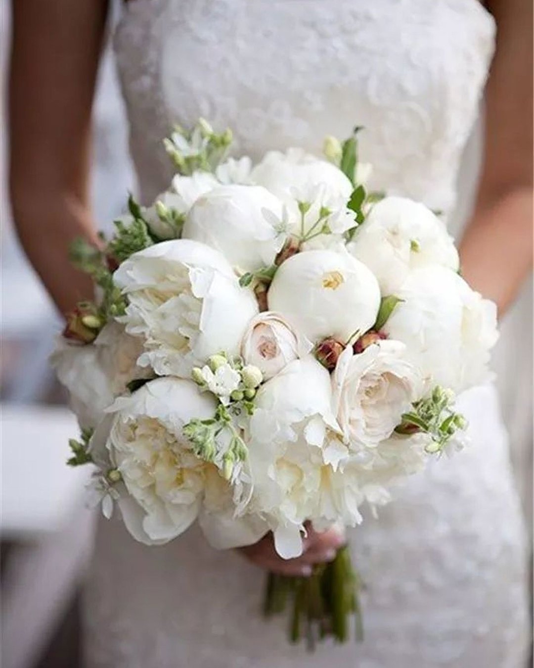 wedding bouquet with gorgeouse white peonies catherine hall studios 1