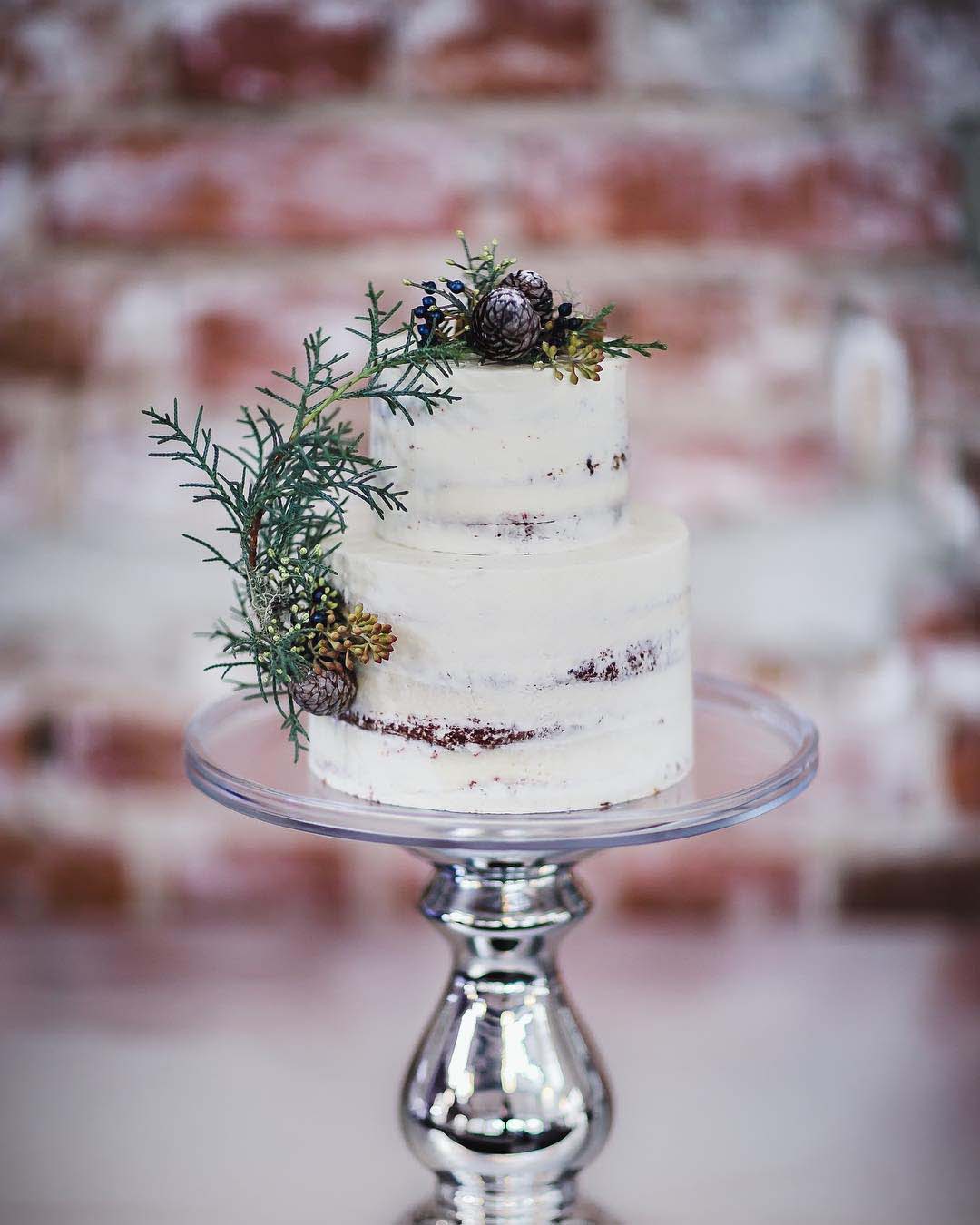 winter wedding cakes naked cake with spruce branches stephan_bakes