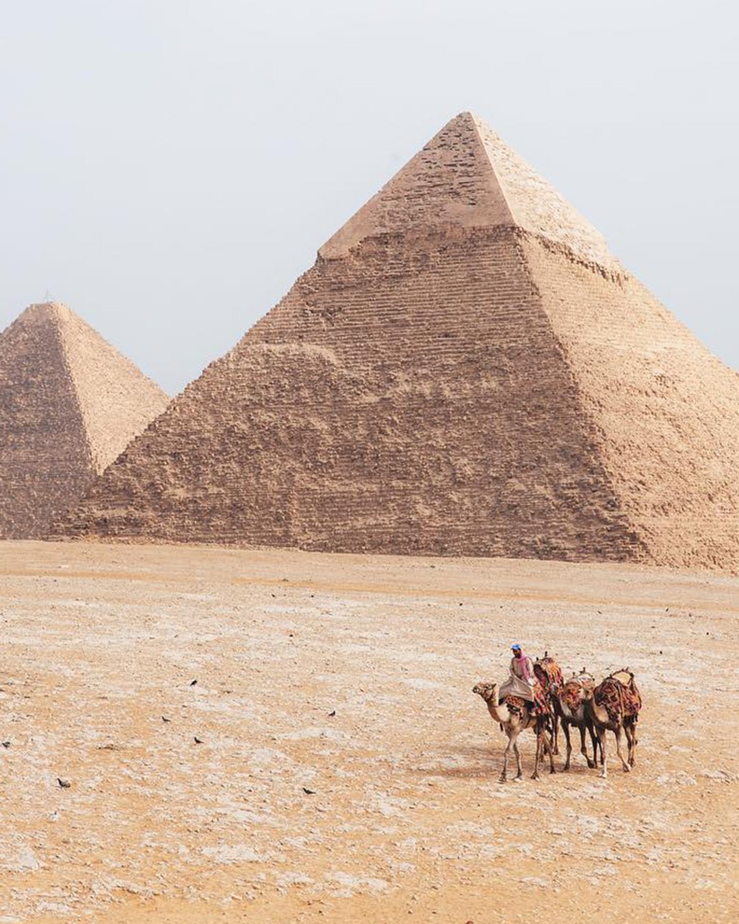 best honeymoon destinations egypt jordanherschel