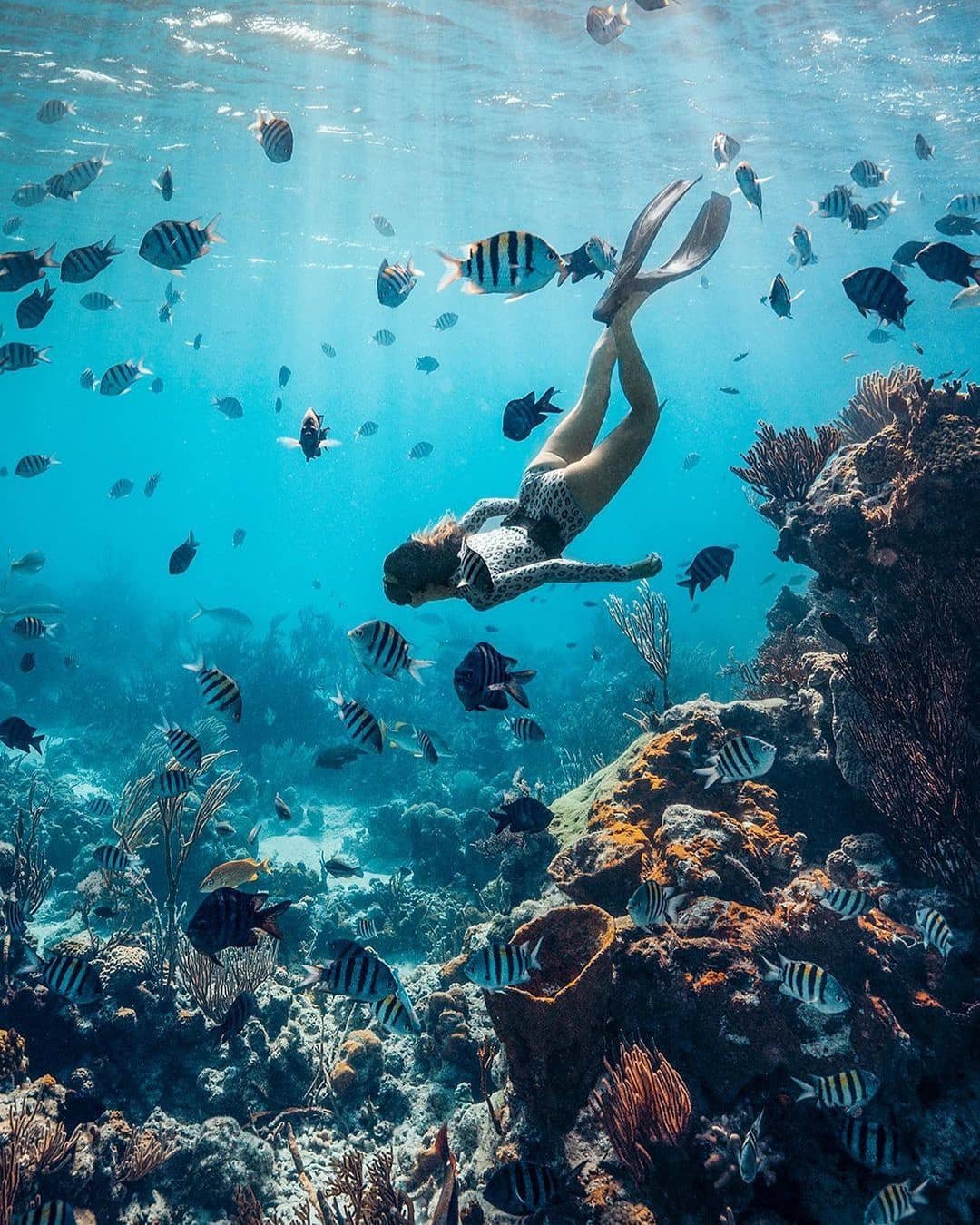 best honeymoon destinations int the sea bahamas
