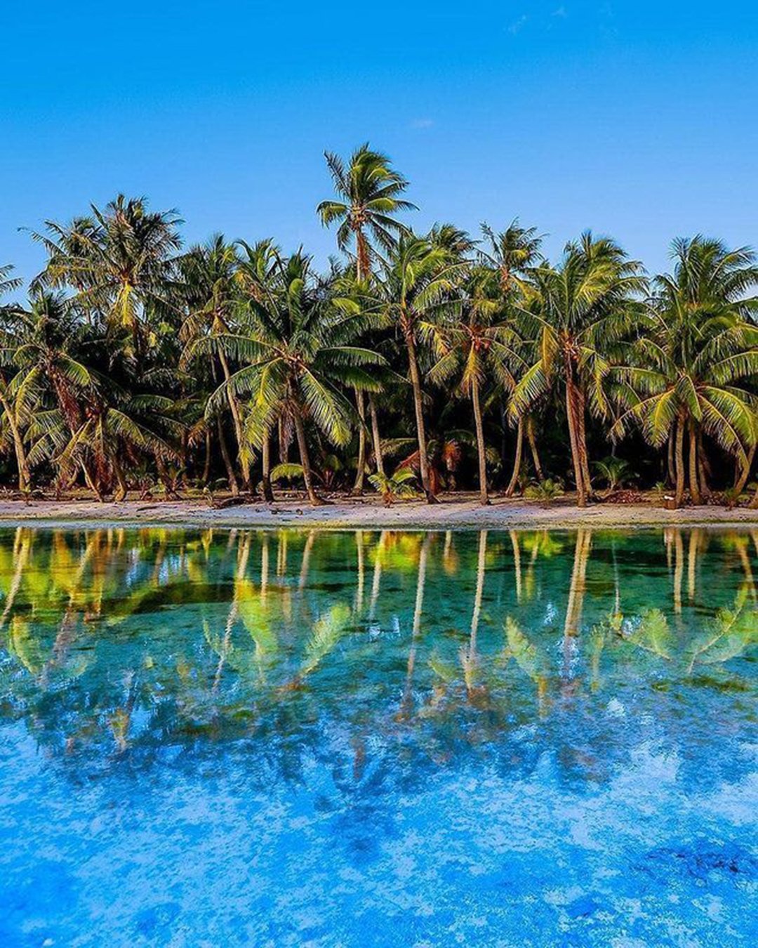 best honeymoon destinations tahiti unlimitedtahiti