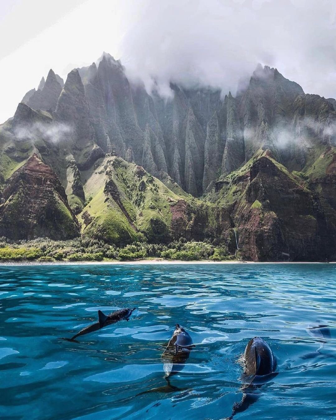 honeymoon beach ocean hawaiistagram