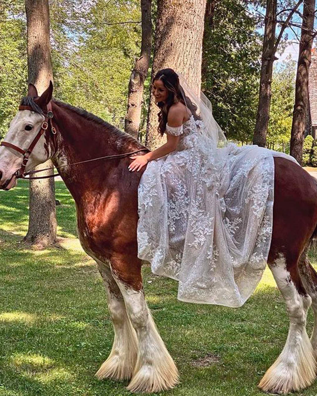 rustic wedding venue in michigan transport horse