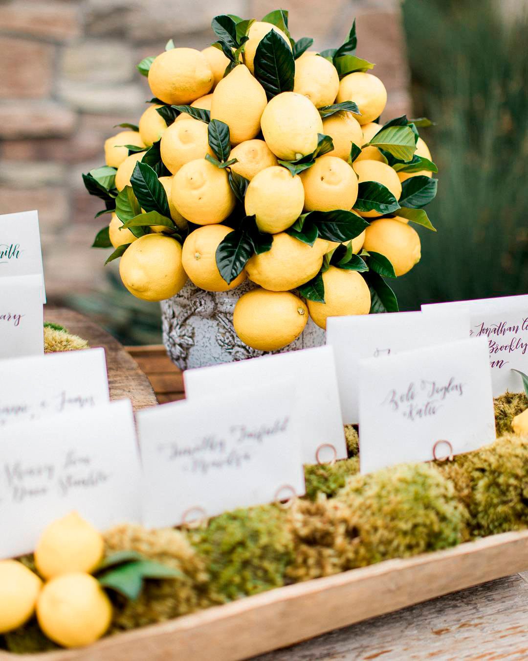 wedding themes citrus fruits